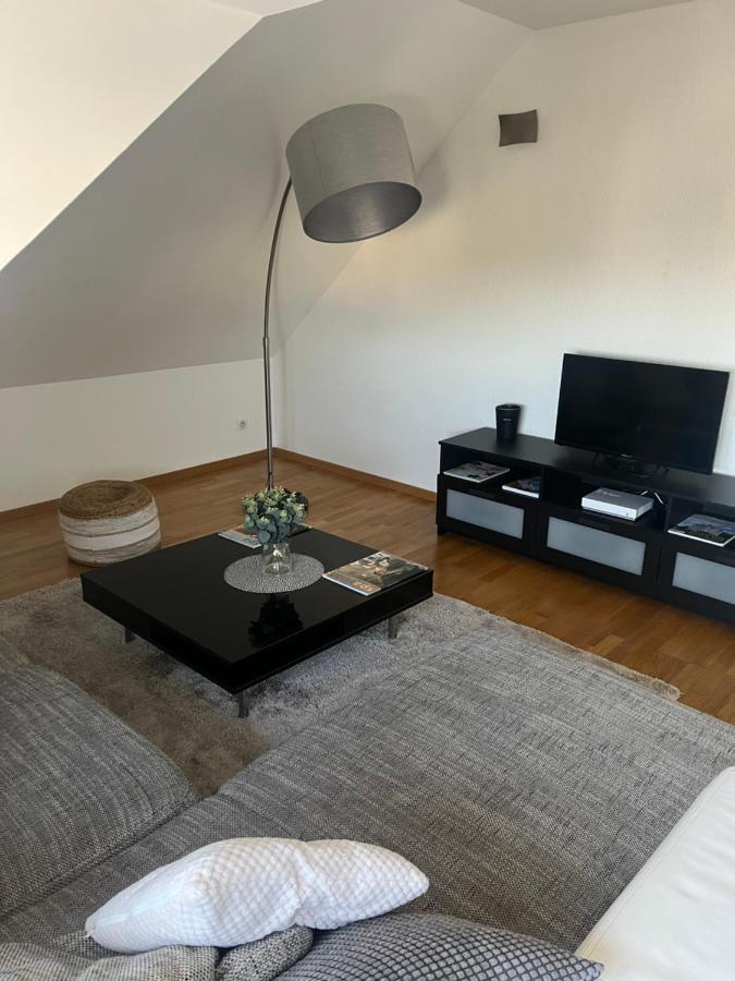 קולמר Bel Appartement Centre Climatise Parking Prive מראה חיצוני תמונה