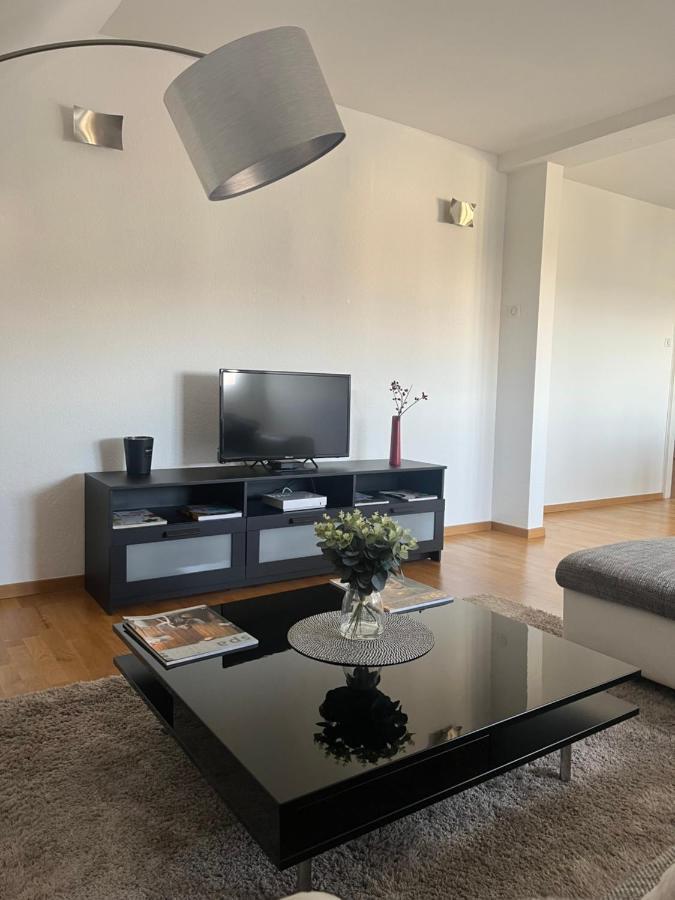 קולמר Bel Appartement Centre Climatise Parking Prive מראה חיצוני תמונה