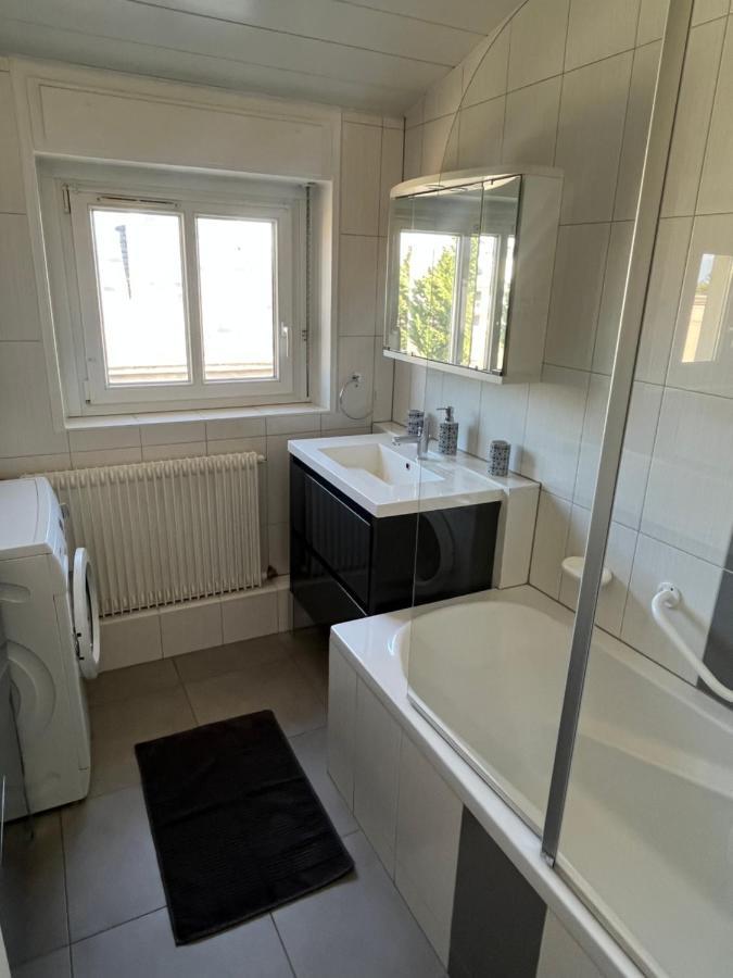 קולמר Bel Appartement Centre Climatise Parking Prive מראה חיצוני תמונה