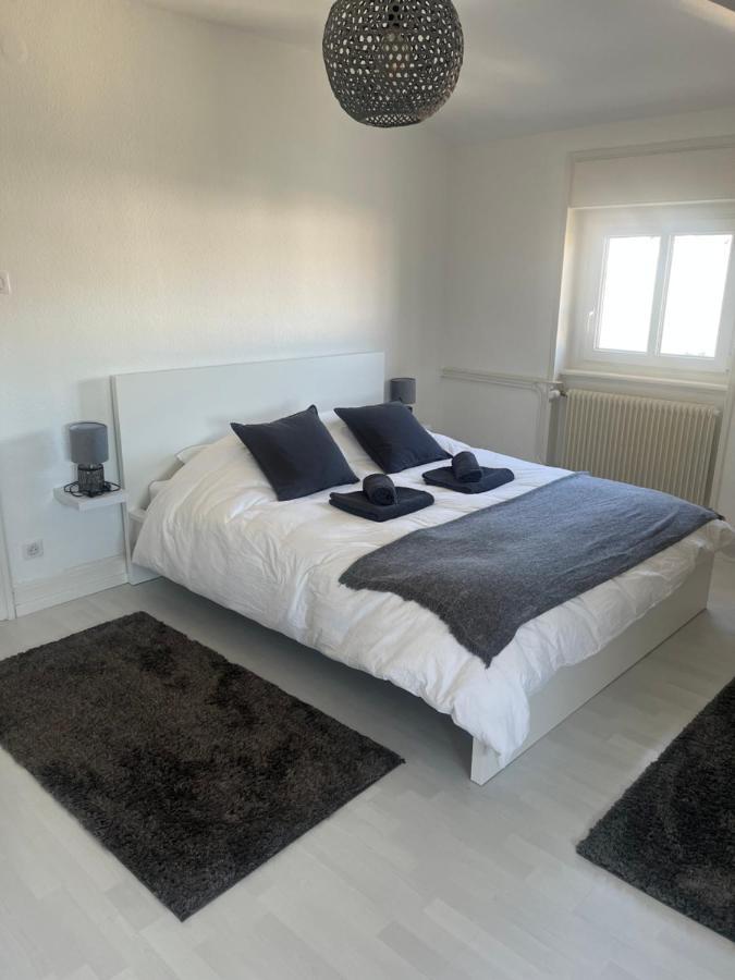 קולמר Bel Appartement Centre Climatise Parking Prive מראה חיצוני תמונה