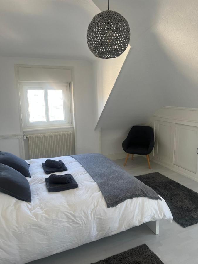 קולמר Bel Appartement Centre Climatise Parking Prive מראה חיצוני תמונה